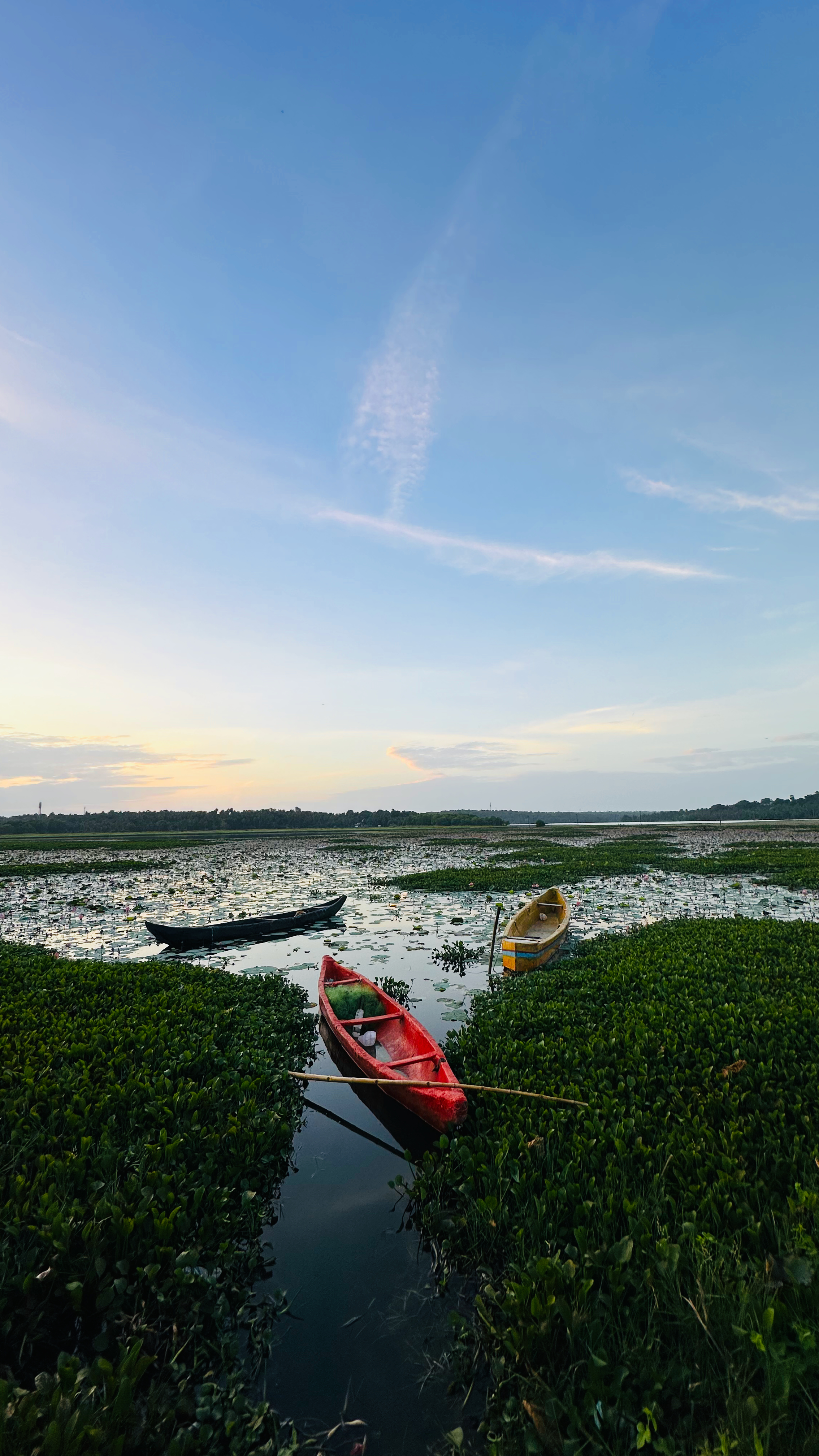 A red boat