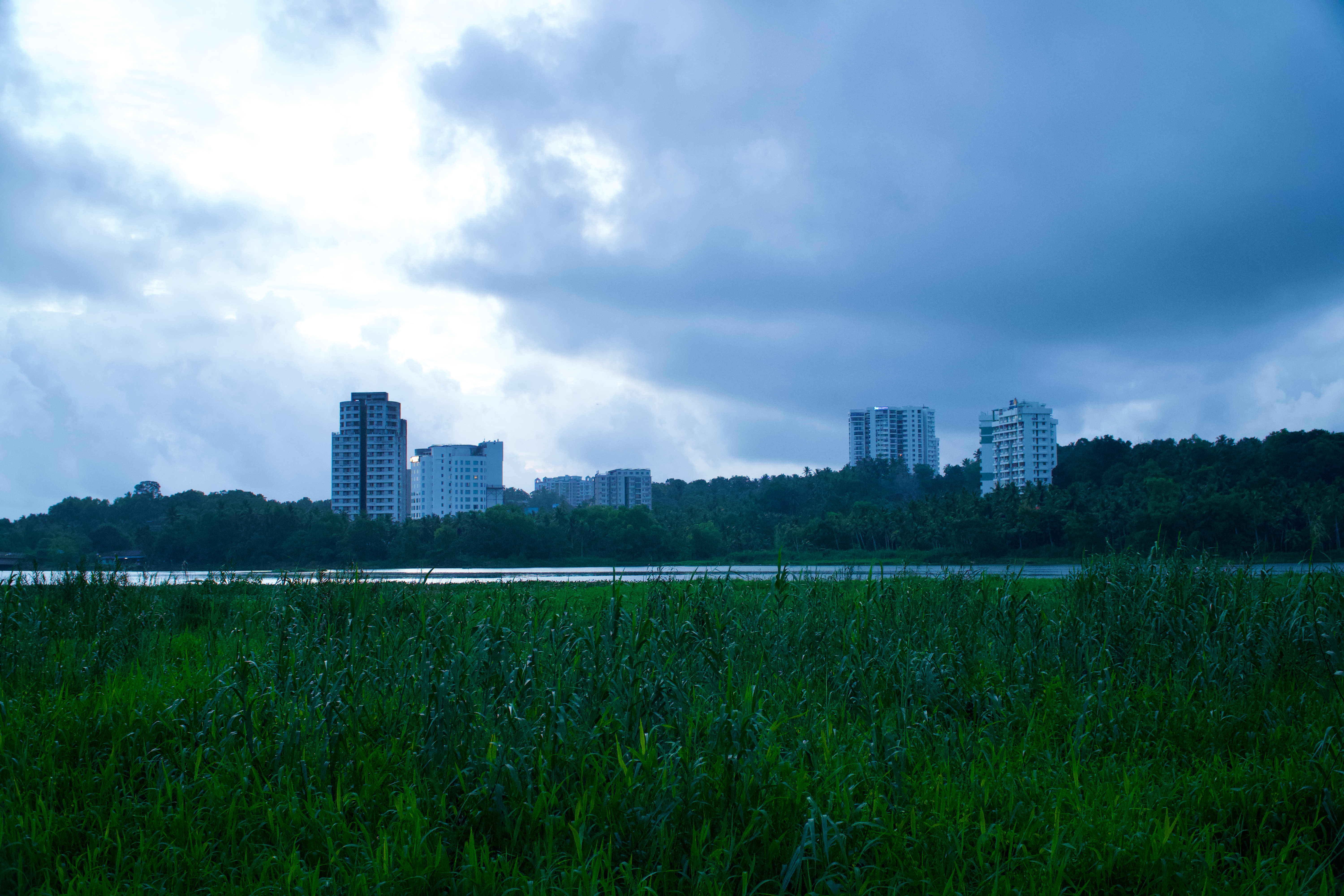 Urban Giants: Reflections Across the River